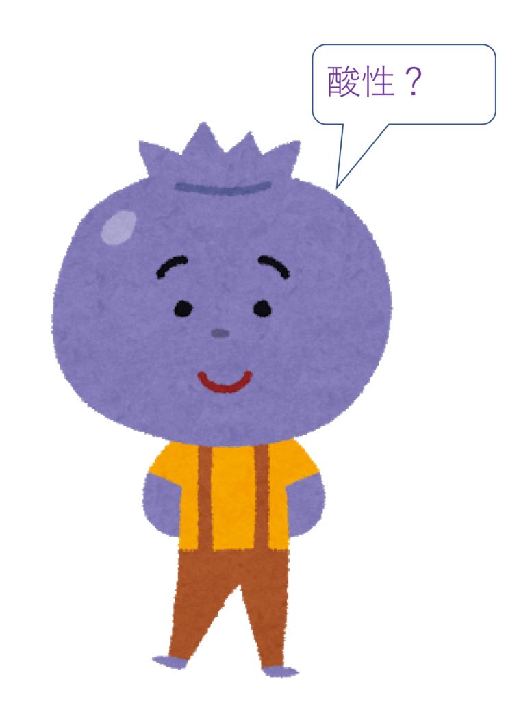 ブルーベリーの画像