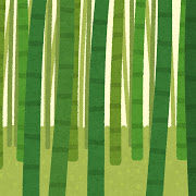 竹の画像