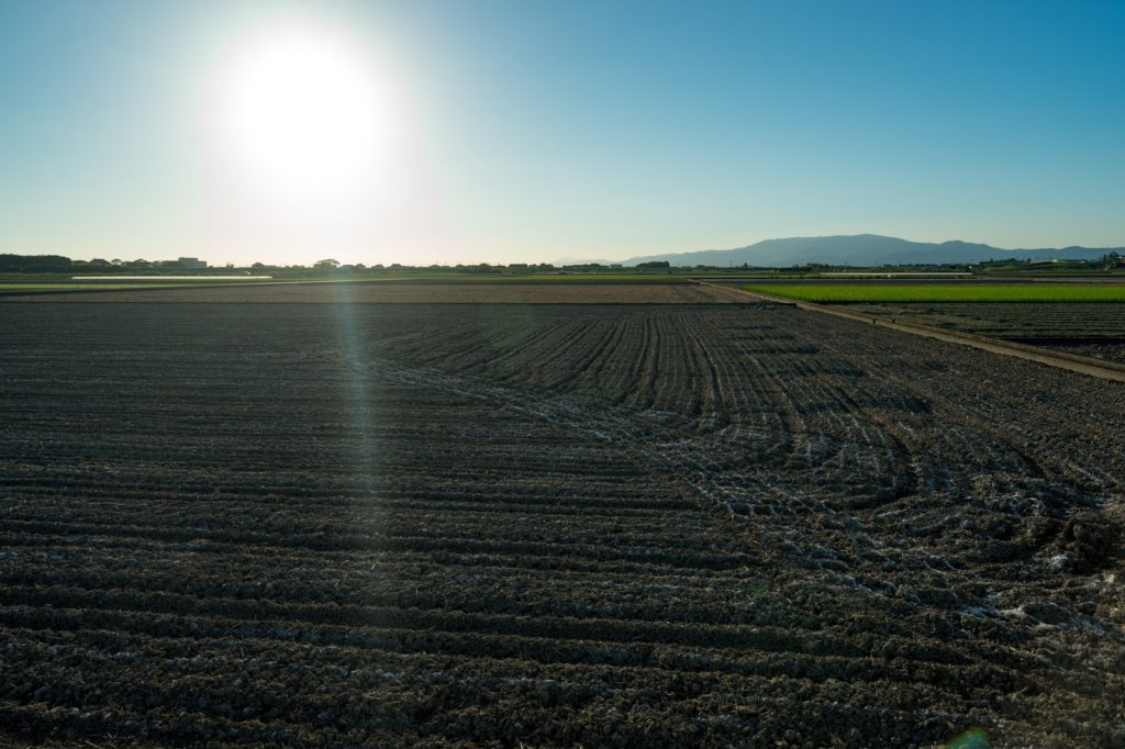 農地の画像