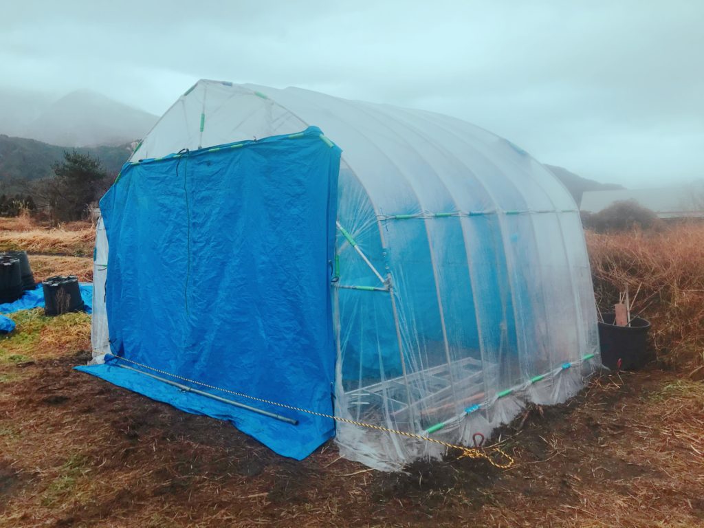 パイプハウスの画像