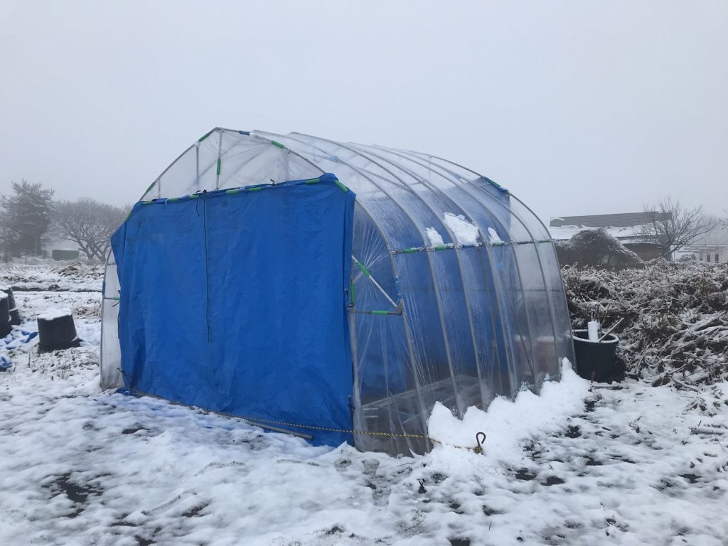 パイプハウスの画像