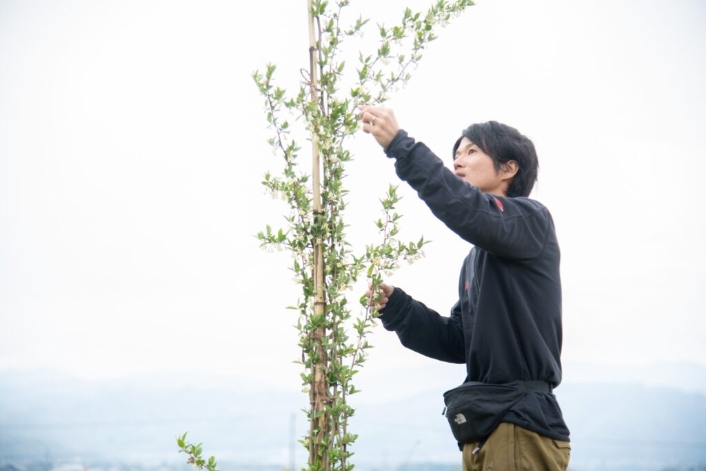 農園オーナーの写真