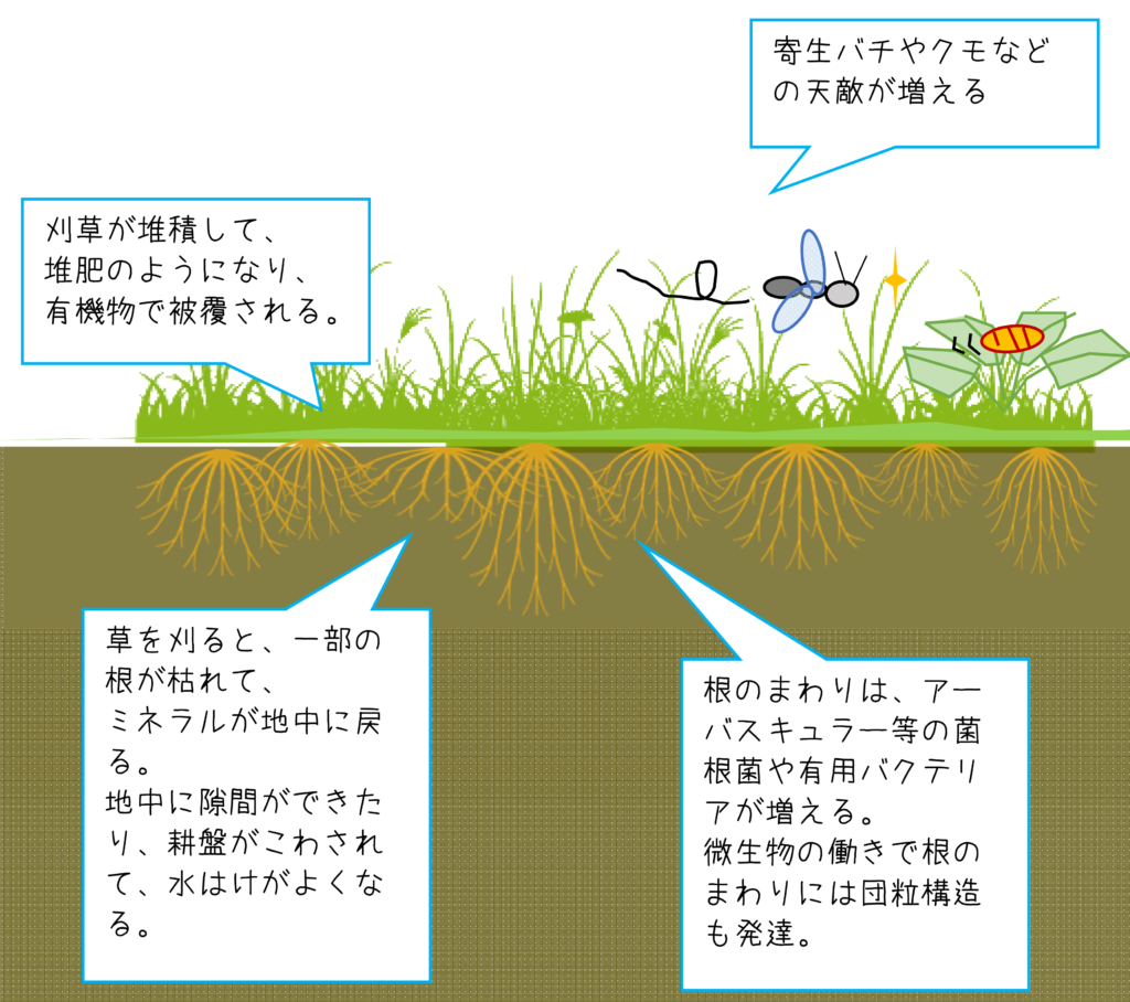 草の効能模式図