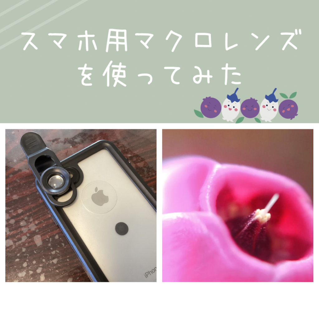 スマホ用マクロレンズの写真