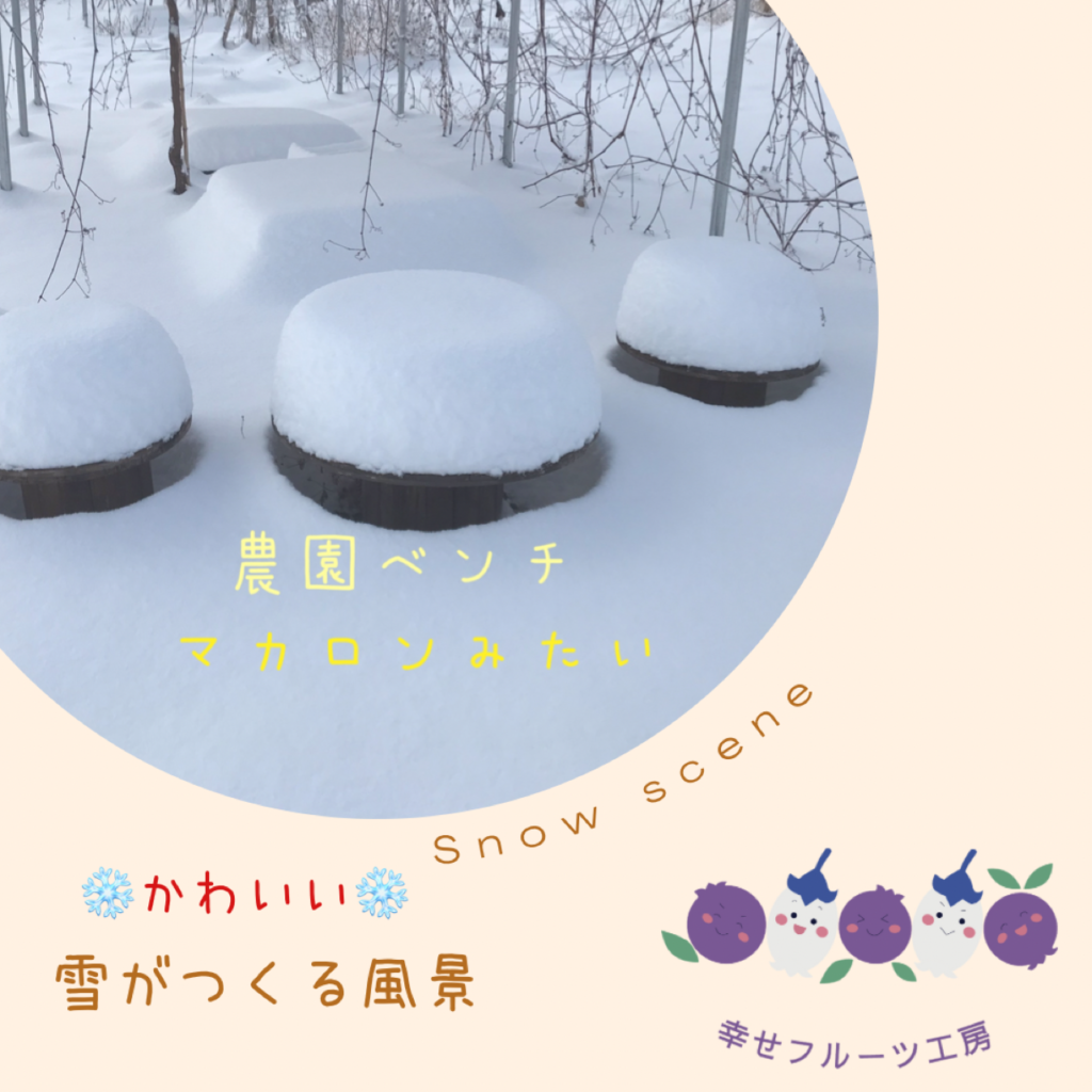 農園の雪景色