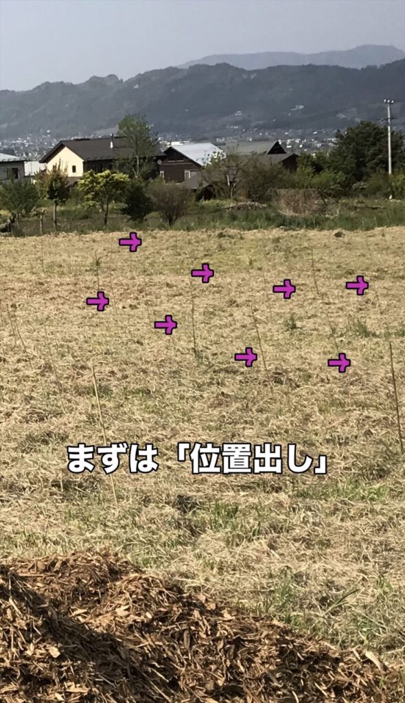 ブルーベリーの位置出しの画像
