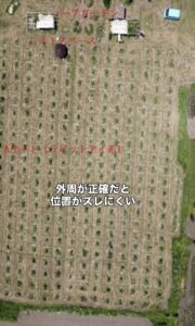 ブルーベリーの位置出しの画像