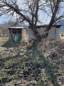 ニホンミツバチの待ち箱の設置画像